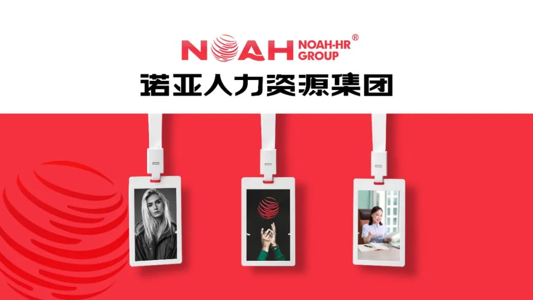 經(jīng)營產(chǎn)值56.58億，利稅總額1.6億 | 諾亞集團2024年企業(yè)發(fā)展年報新鮮出爐